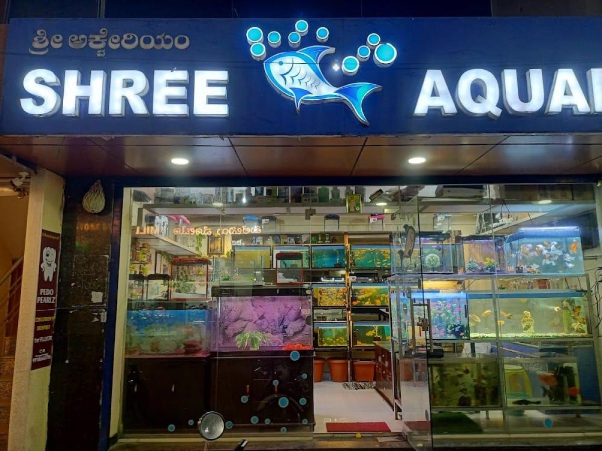 Shree Aquarium