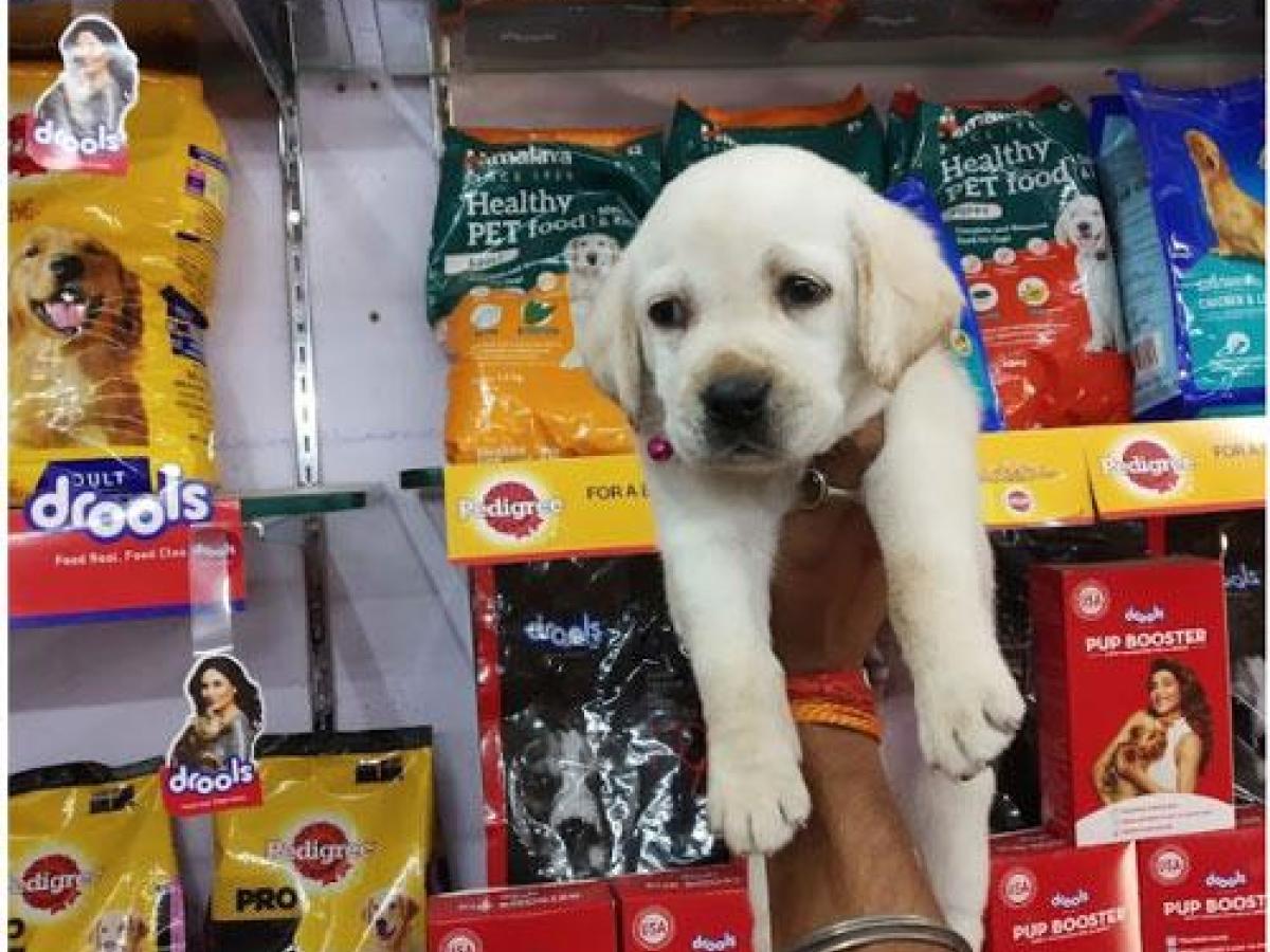 Anupam Pets Shop