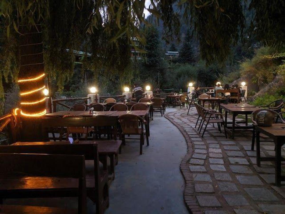 The Lazy Dog Lounge